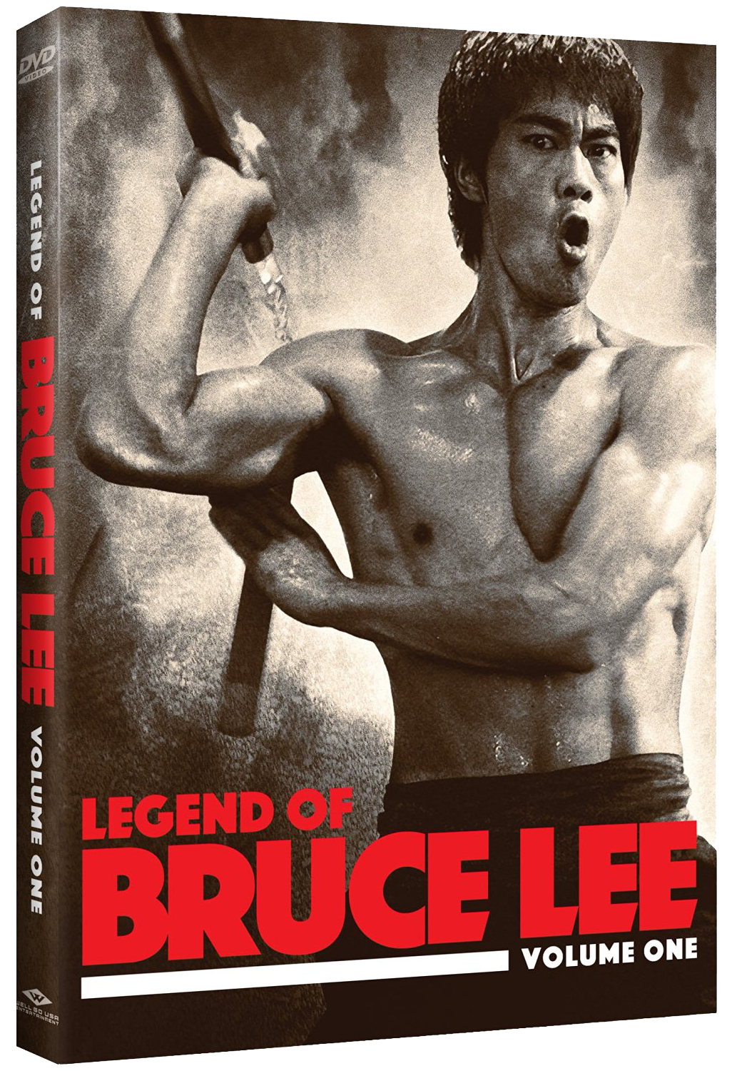 the legend of bruce lee tv series