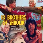 "10 Brothers of Shaolin" American DVD Cover