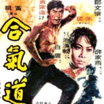 "Hapkido" Chinese Theatrical Poster
