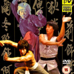 "Buddha’s Palm and Dragon Fist" DVD Cover