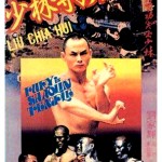 "Fury in Shaolin Temple" Chinese VHS Cover
