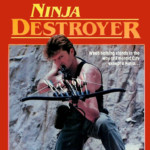 "Ninja Destroyer" VHS Cover
