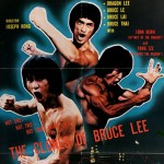 "The Clones of Bruce Lee" Theatrical Poster