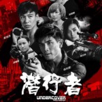 "Undercover Punch and Gun" Theatrical Poster