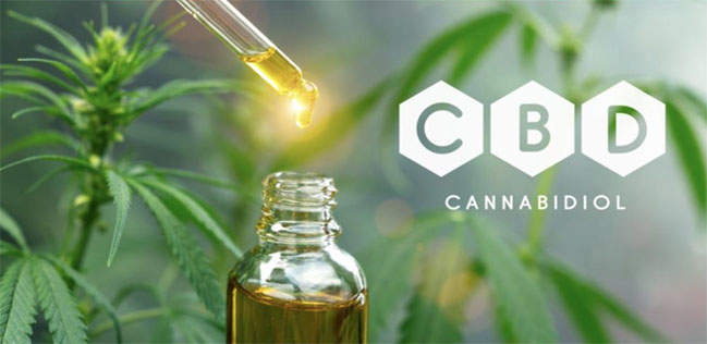Get the CBD Facts: 5 Truths About Taking CBD Oil