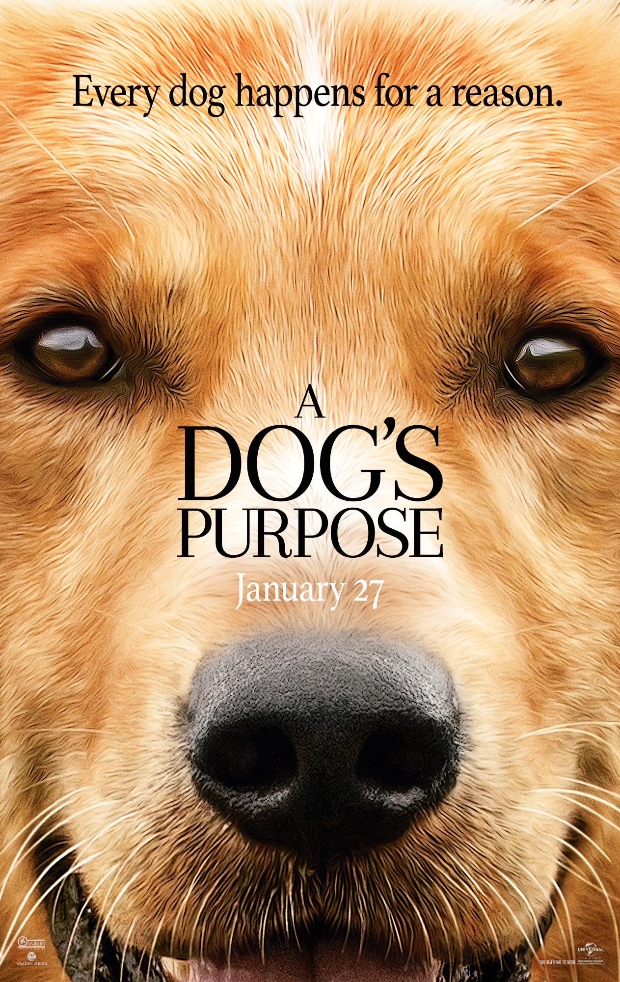 Dog Movies Animal Lovers Should Watch 