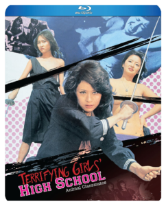 Terrifying Girls' High School | Blu-ray (Discotek Media)