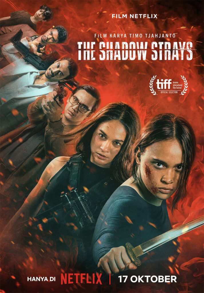 Shadow Strays, The (2024) Review | cityonfire.com