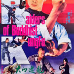 "Raiders of Buddhist Kung Fu" Theatrical Poster