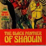The Black Panther of Shaolin | Blu-ray ()