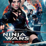 "Ninja Wars: Blackfox vs Shogun's Ninja" Poster